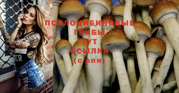 дурь Нефтегорск