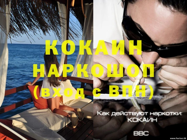 кокс Новозыбков
